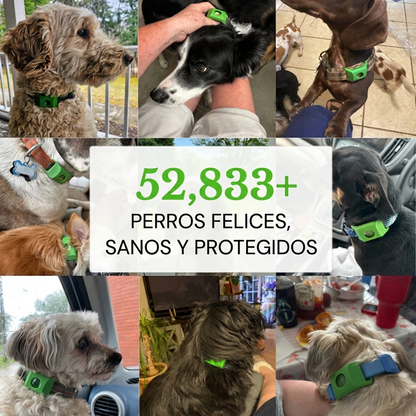 FurNatur™ – Colgante Natural Antiparasitario 12 Meses Para Perros