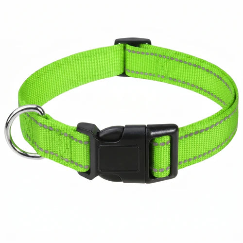 Collar de Seguridad
